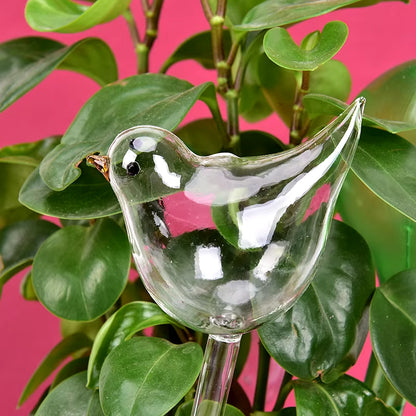 Plant Self Watering Globe Plants Water Bulbs Bird Shape Clear Glass/Plastic Watering Device