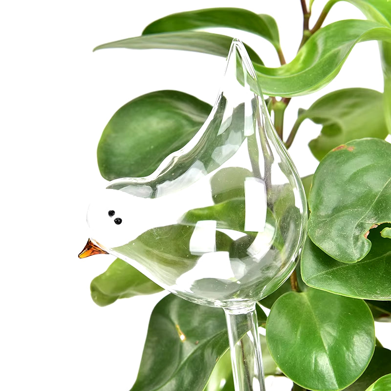 Plant Self Watering Globe Plants Water Bulbs Bird Shape Clear Glass/Plastic Watering Device